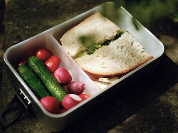 A packed lunchbox holding a sandwich, cucumbers, tomatoes and radishes